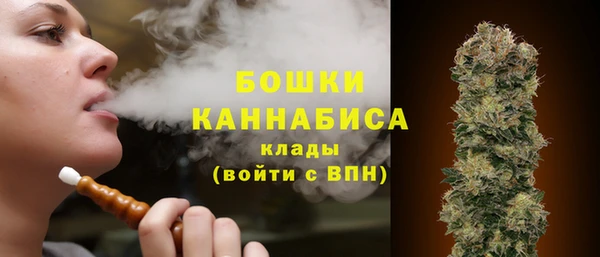 не бодяженный Бородино
