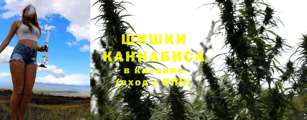 не бодяженный Бородино