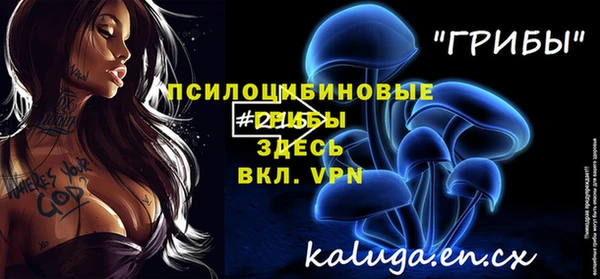 ГАЛЛЮЦИНОГЕННЫЕ ГРИБЫ Бронницы