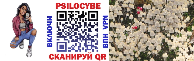 Псилоцибиновые грибы Psilocybe  Смоленск 